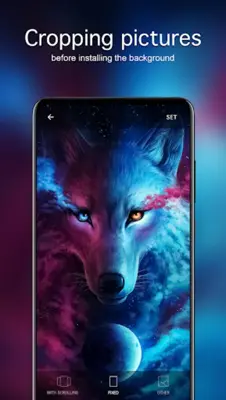 Wolf Wallpapers 4K android App screenshot 2