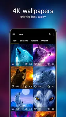 Wolf Wallpapers 4K android App screenshot 4